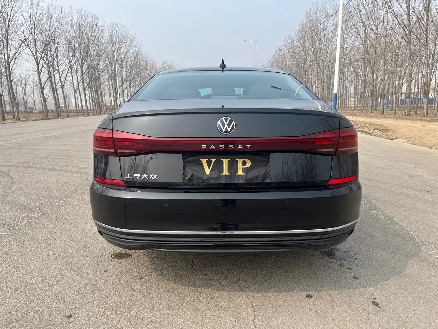 Volkswagen Passat 2024 330TSI Starlight Elite Edition фото 14