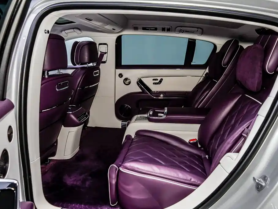 Zunjie S800 2026 2025 Range Extender Starlight Executive 4-Seater