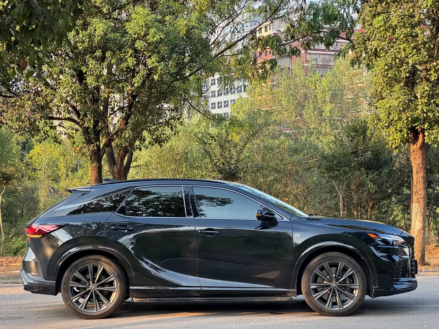 Photo 8 - Lexus RX