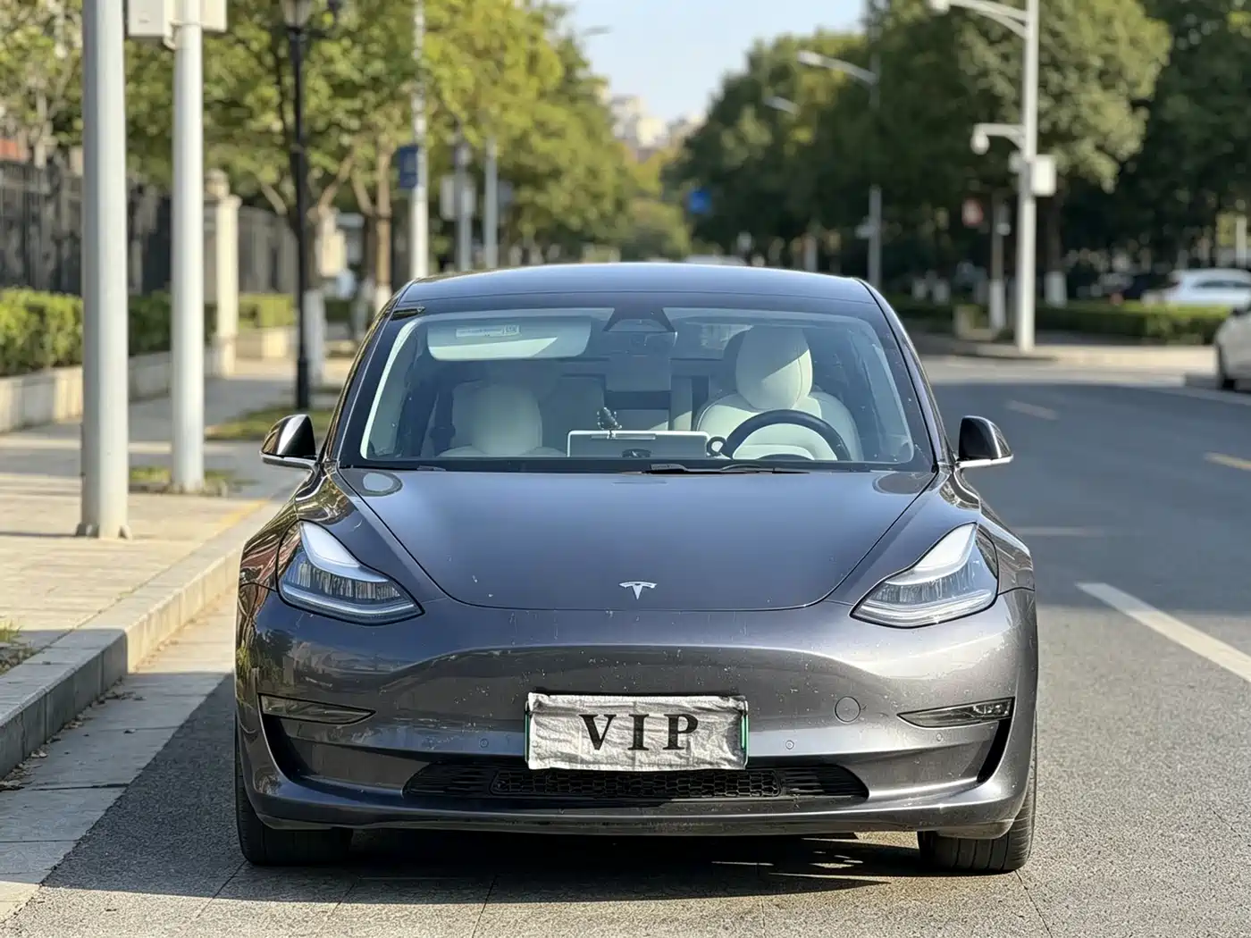 TESLA MODEL 3 (IMPORTED)