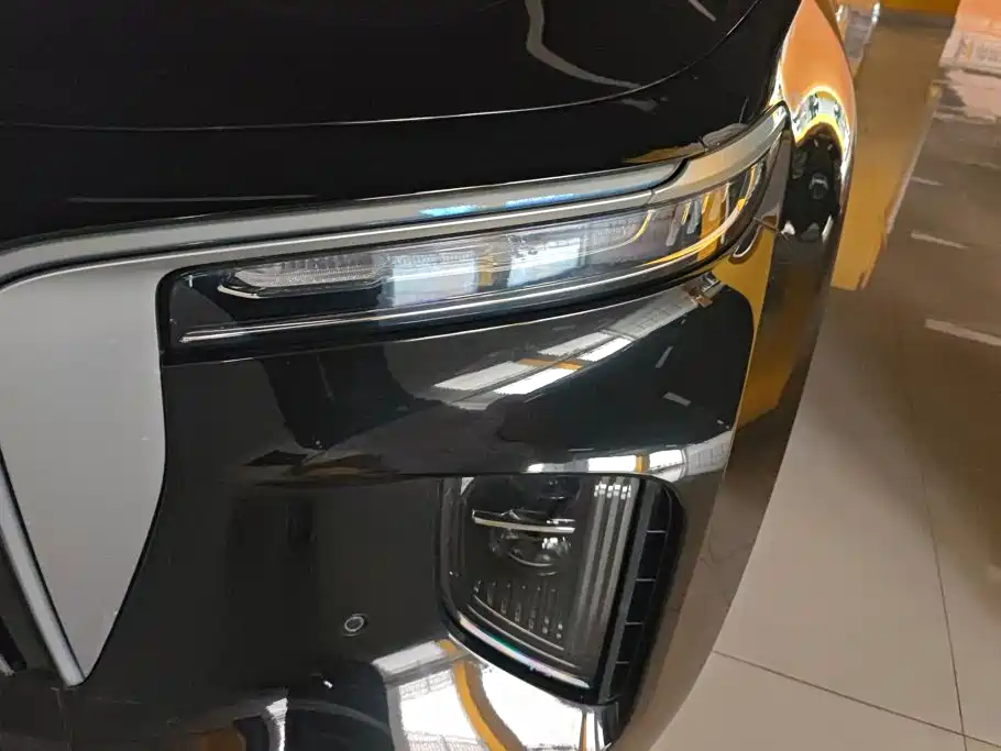 Hongqi E-HS9 2023 2021 460km Flagship Comfort 6-seater