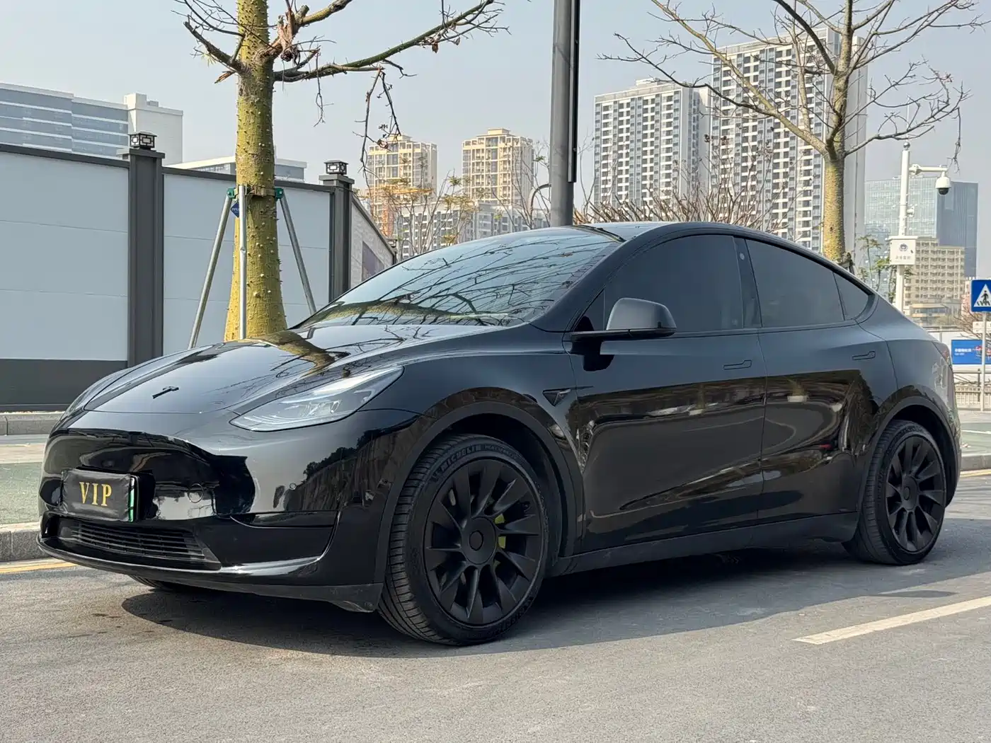 TESLA MODEL Y