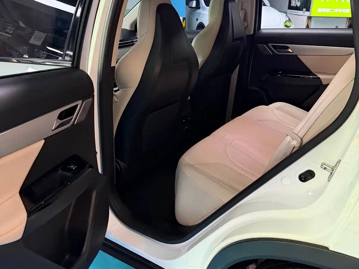 XPeng G3 2019 Smart Enjoyment Edition фото 13