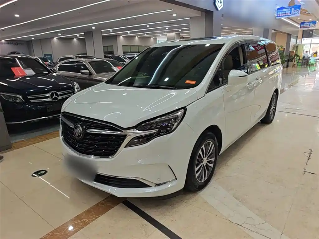 Buick GL8 2022 ES Landmark 653T Premium