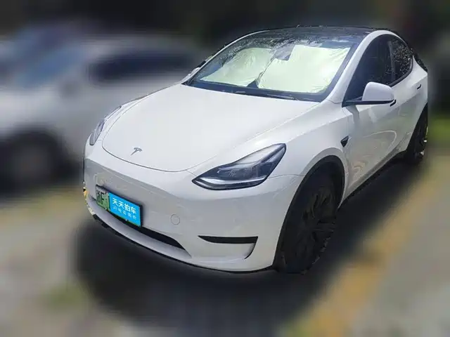 Tesla Model Y 2024 Rear-Wheel Drive Version — фото 1