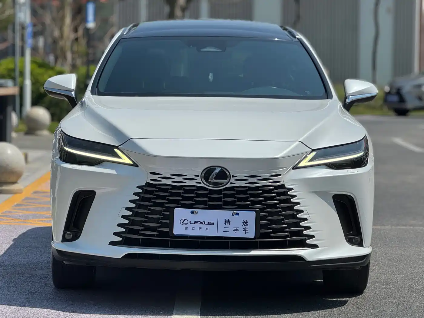 LEXUS RX