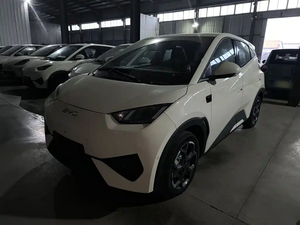 BYD Seagull 2025 Smart Drive Edition 305km Freedom Version