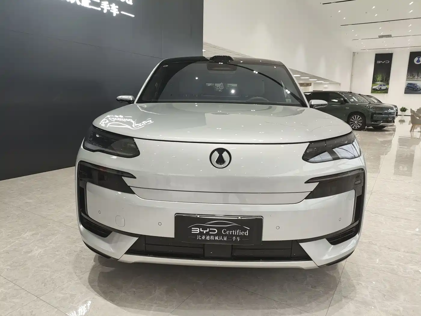 DENZA N9