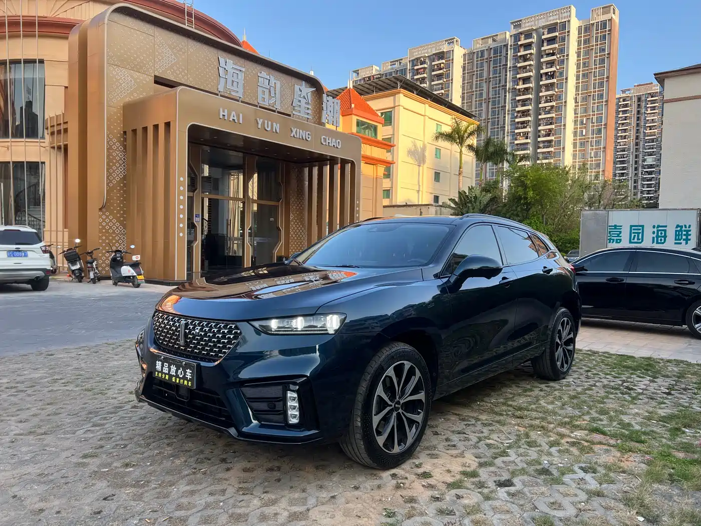 WEI PAI WEI BRAND VV7