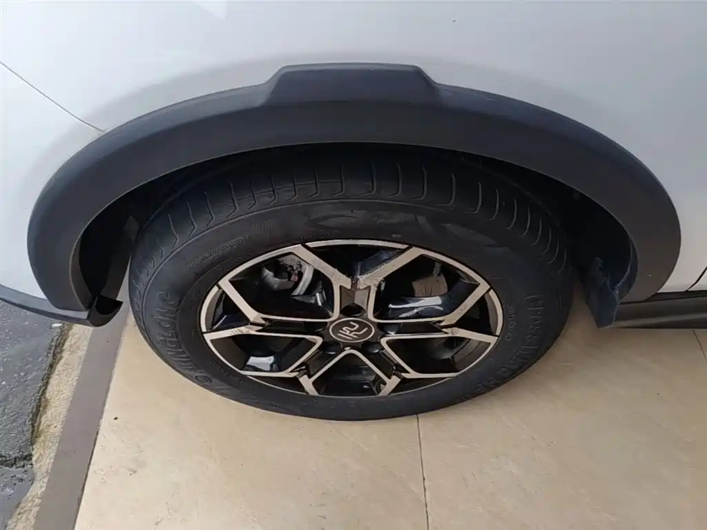 BYD Yuan Pro 2021 401KM Premium Model фото 23