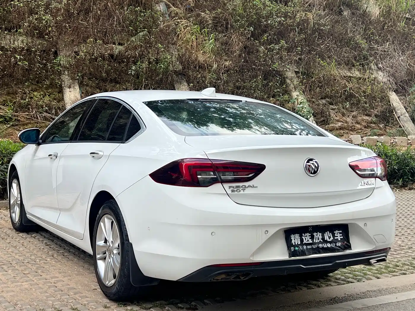 Buick Regal 2019 20T Luxury China VI фото 8