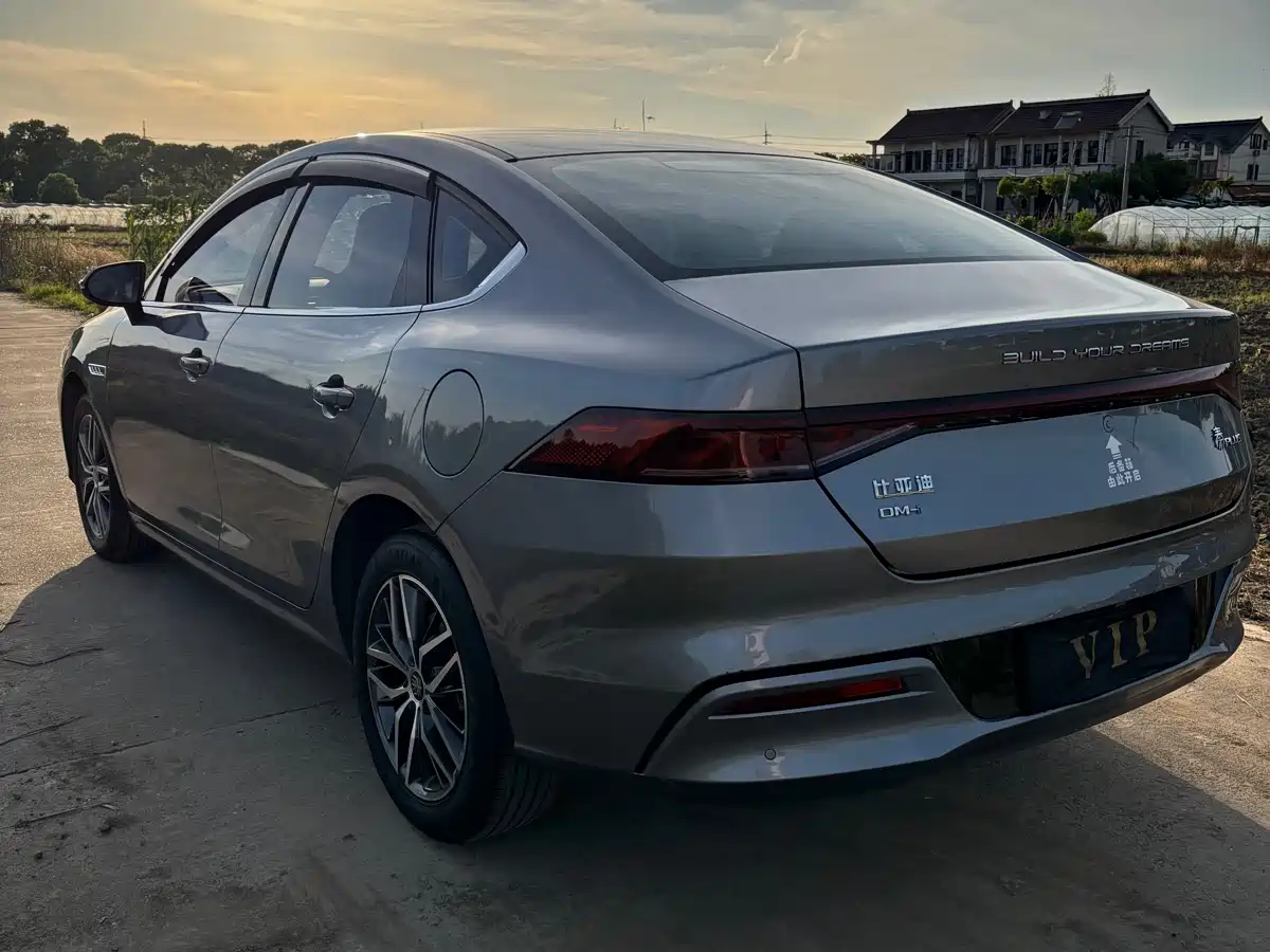 BYD Qin PLUS 2021 DM-i 120KM Premium фото 7