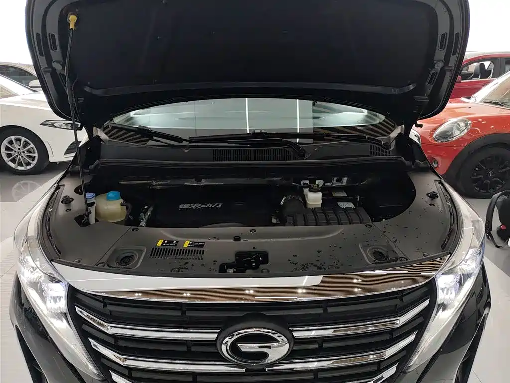 GAC Trumpchi Trumpchi M8 2023 Leading Series 390T Premium Edition фото 16
