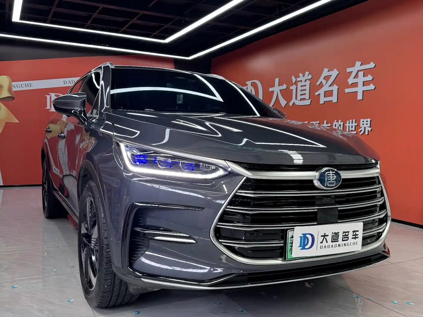 BYD Tang New Energy 2023 Model DM-i Champion Edition 112KM Honor фото 3