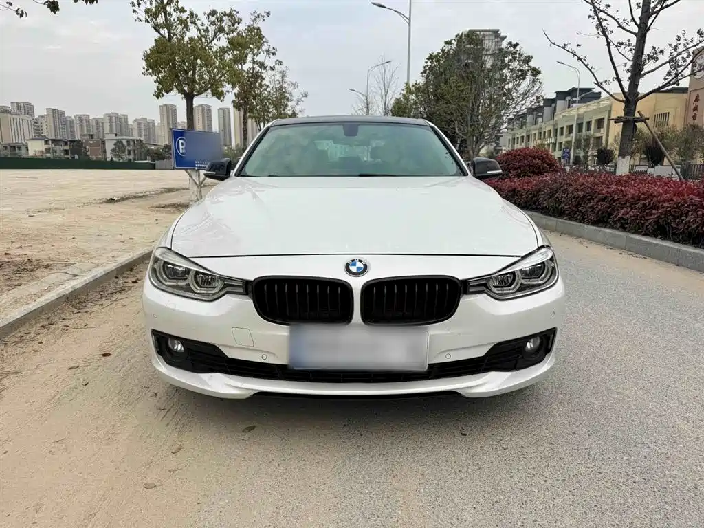 BMW 3 Series 2019 320Li Fashion Type фото 3