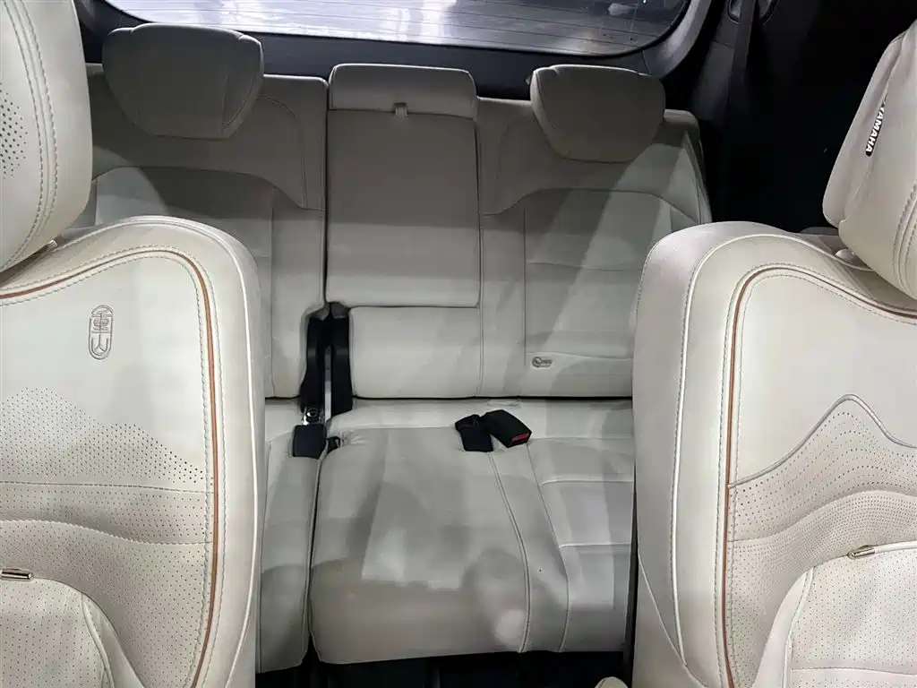 GAC Trumpchi Trumpchi M8 2023 Model Master Series Hybrid Royal Edition фото 15