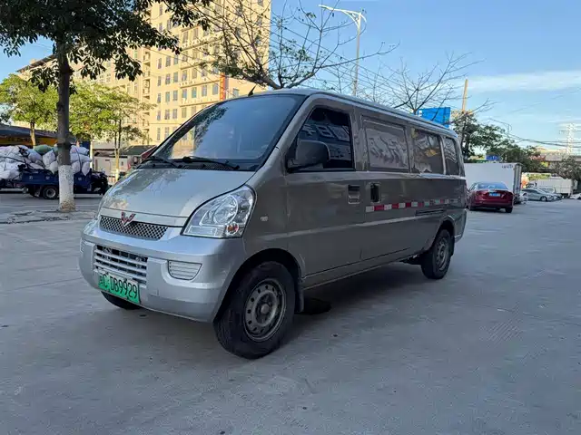 Wuling Motors Wuling Rongguang EV 2020 Sealed Window Basic 2-seater 300KM
