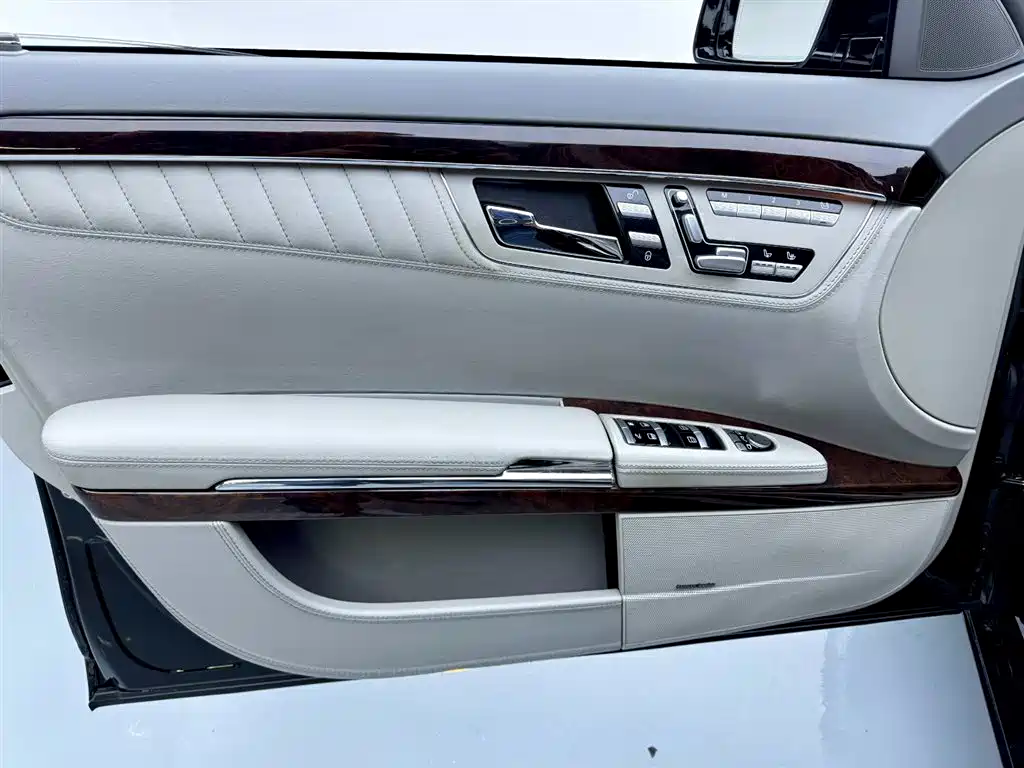 Mercedes-Benz S-Class 2010 S 600 L фото 10