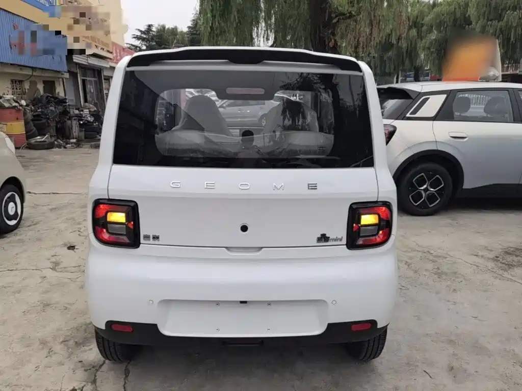 Geely Galaxy Panda 2026 2025 Panda mini 210km Vitality Bear