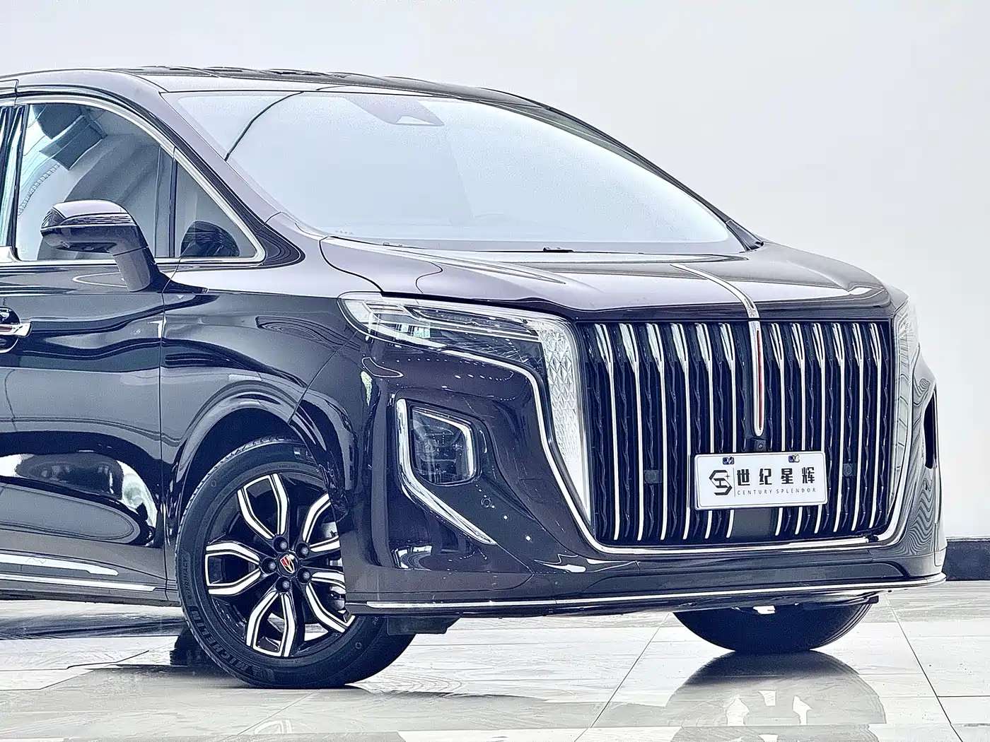 Hongqi HQ9 2023 2.0T Smart Connect Flagship фото 7