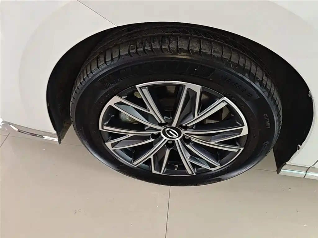 GAC Trumpchi Trumpchi M8 2024 Master Series Super Hybrid фото 23
