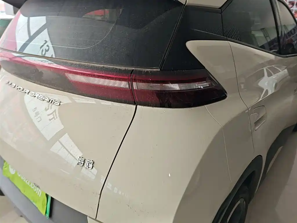 BYD Seagull 2023 Freedom Edition фото 24