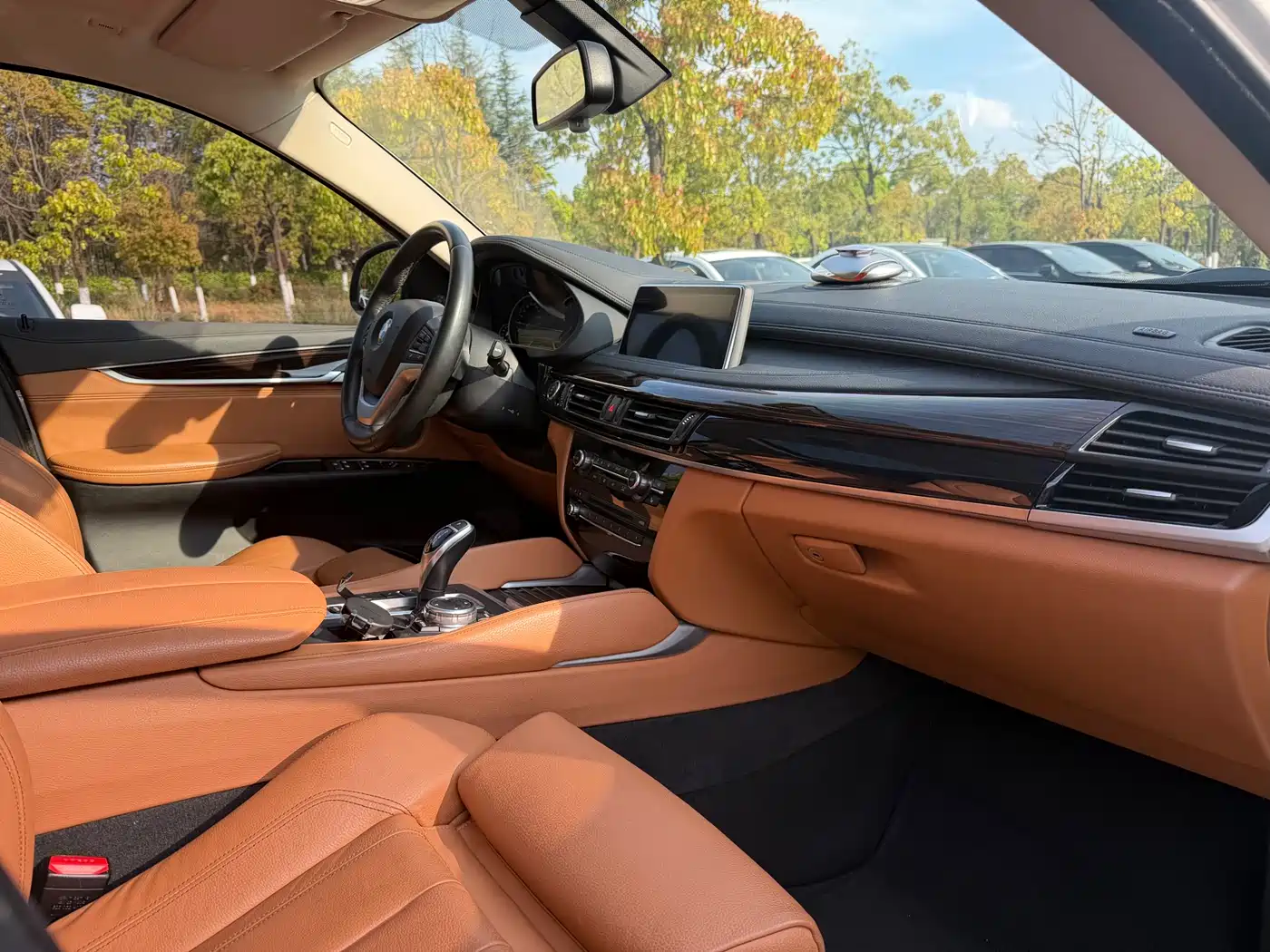 BMW X6 2015 xDrive35i Luxury Model фото 15