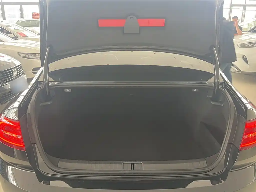 Volkswagen Magotan 2018 Facelift 330TSI DSG Luxury фото 17