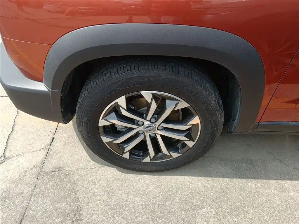 Haval Big Dog 2021 1.5T DCT 2WD Border Collie Edition фото 25