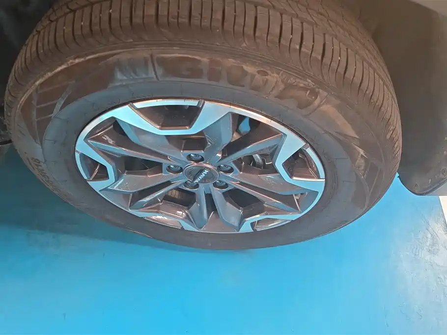 Haval Big Dog 2024 2.0T DCT Chinese Rural Dog Edition фото 6