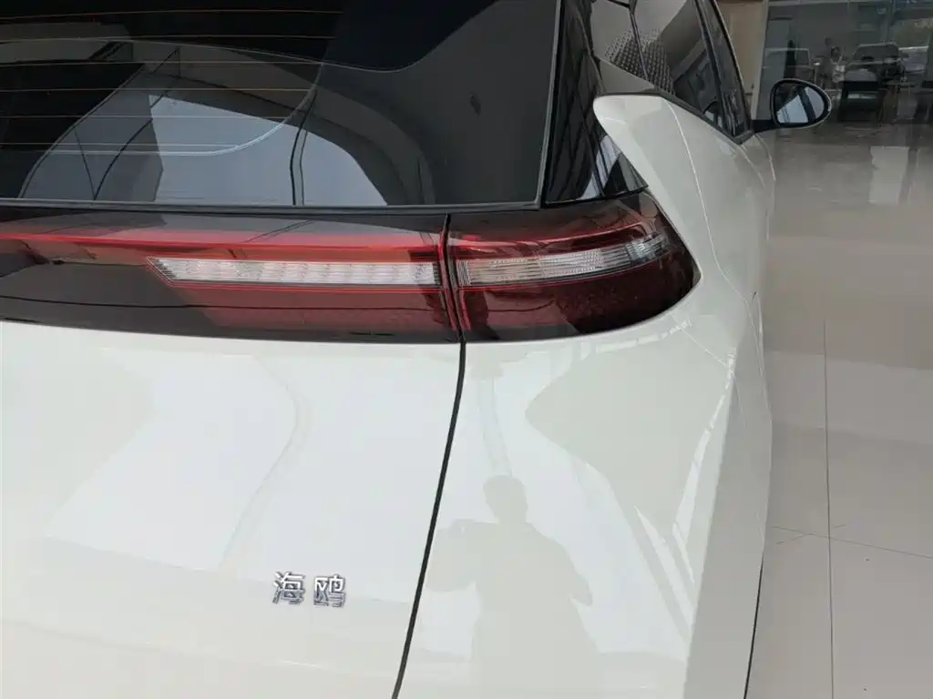 BYD Seagull 2024 Glory Edition 305km Vitality Edition фото 8