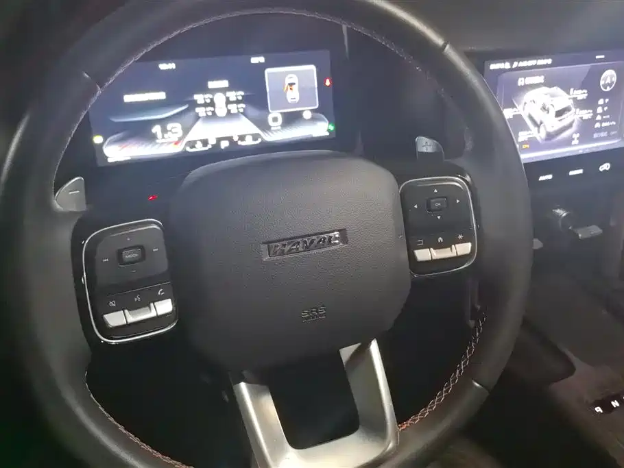 Haval Big Dog 2022 2.0T DCT AWD Chinese Pastoral Dog Edition фото 15