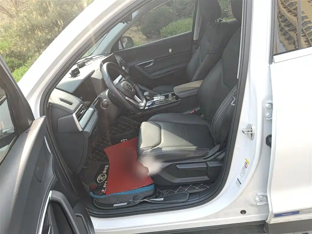 BYD Song Pro 2019 1.5T Automatic Luxury фото 15