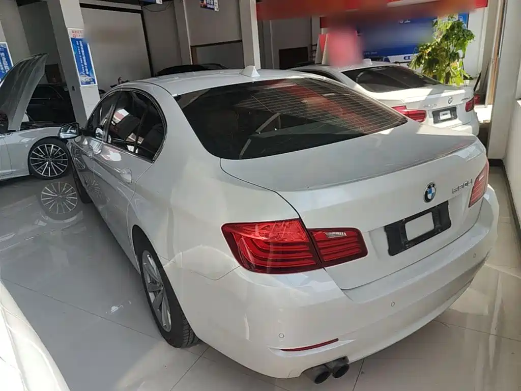 BMW 5 Series 2014 520Li Elegance фото 5