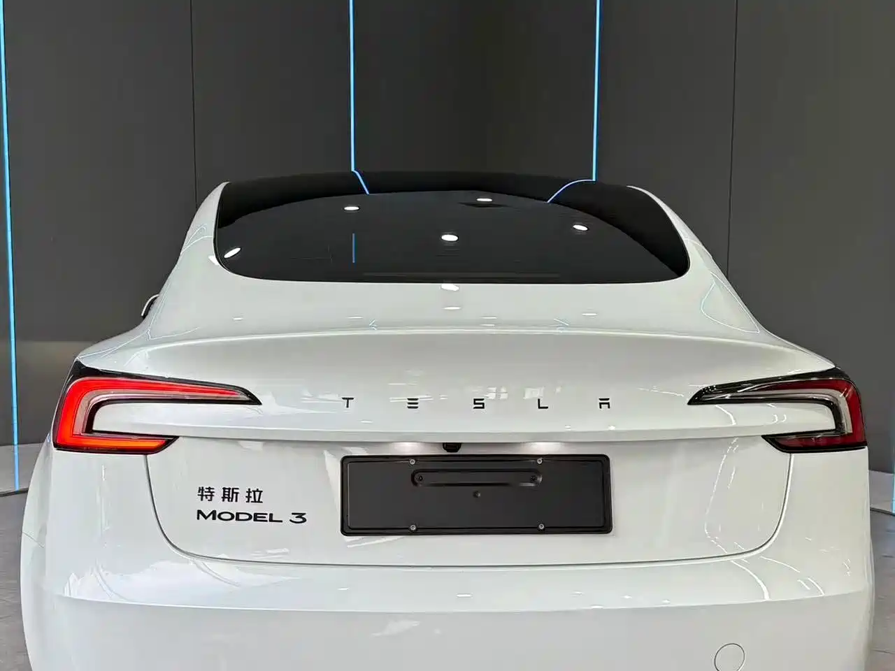 Фото 7 - Tesla Model 3