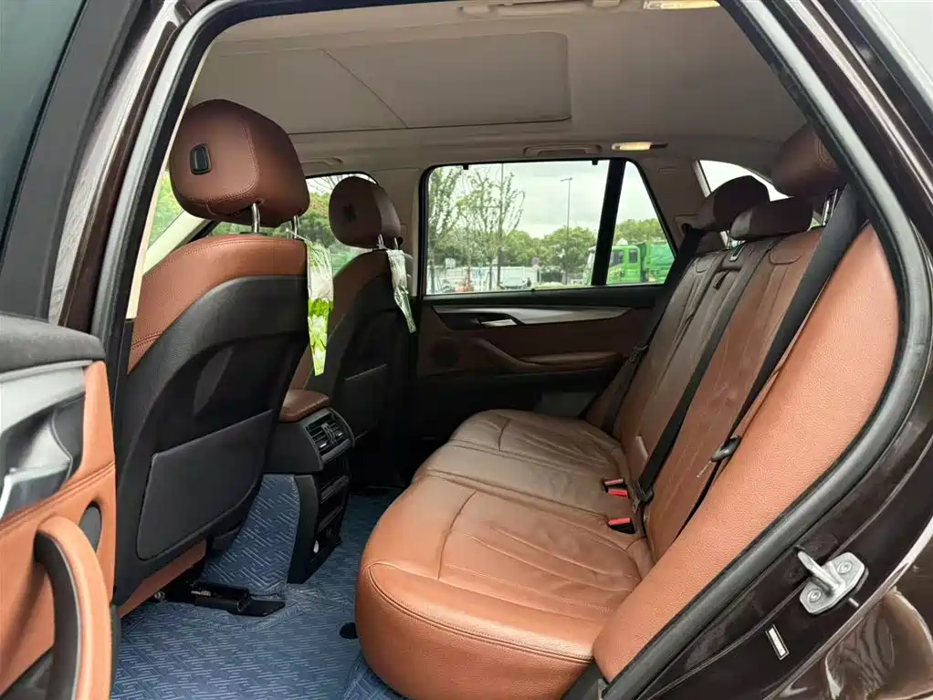 BMW X5 (Import) 2017 xDrive35i Elegance фото 10
