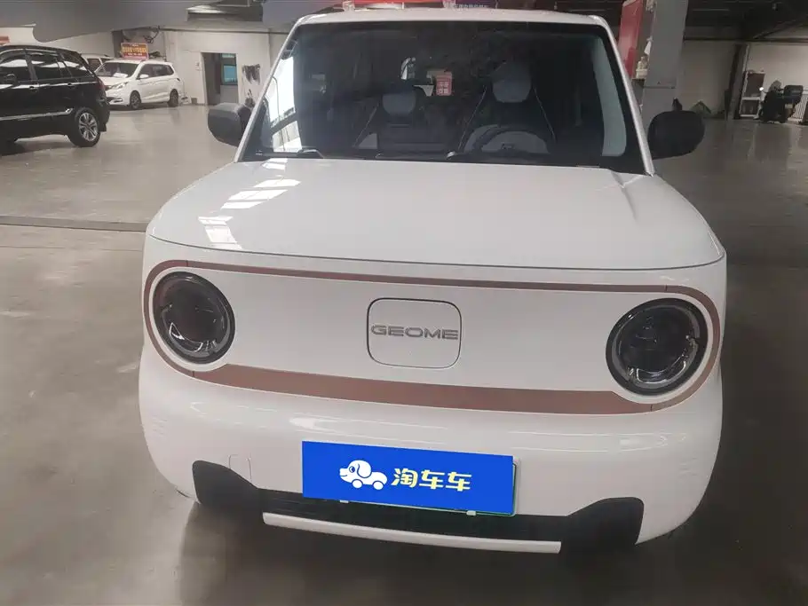 GEELY GALAXY PANDA