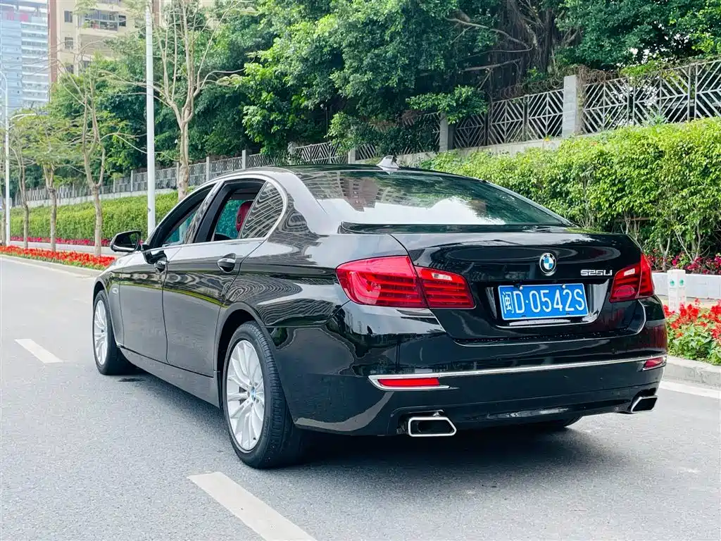 BMW 5 Series 2014 525Li Luxury Design Package фото 6