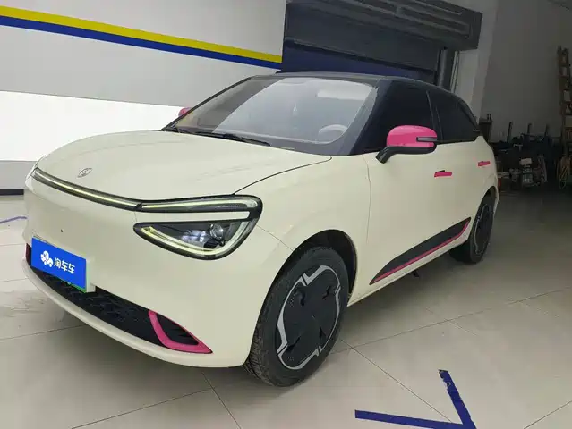 Dongfeng Yipai Nano 01 2024 330 Plus