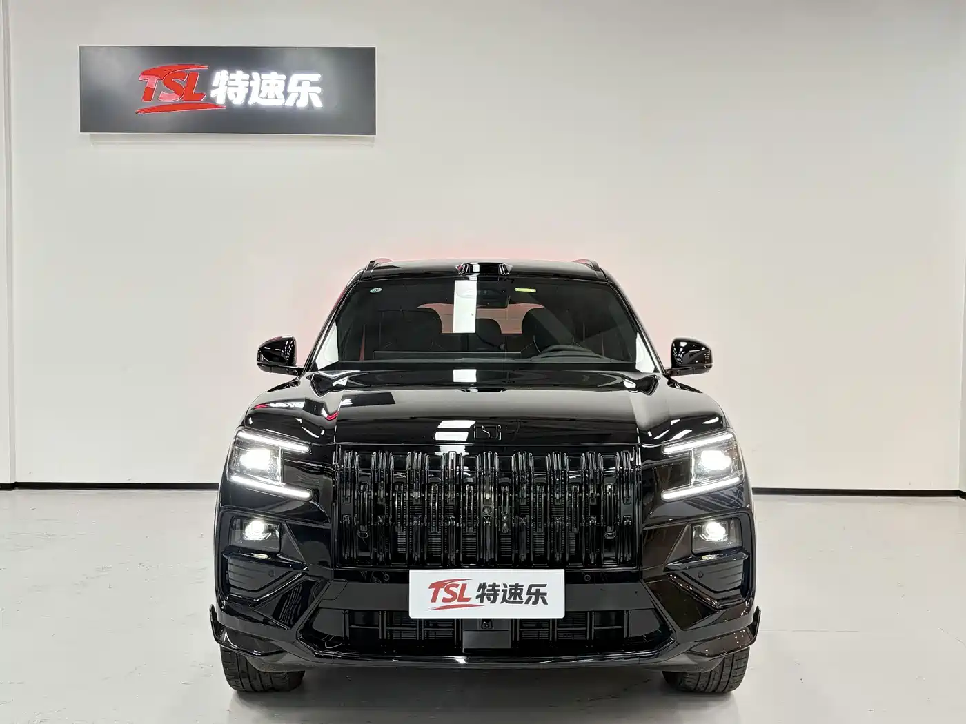 2026 ZEEKR 8X