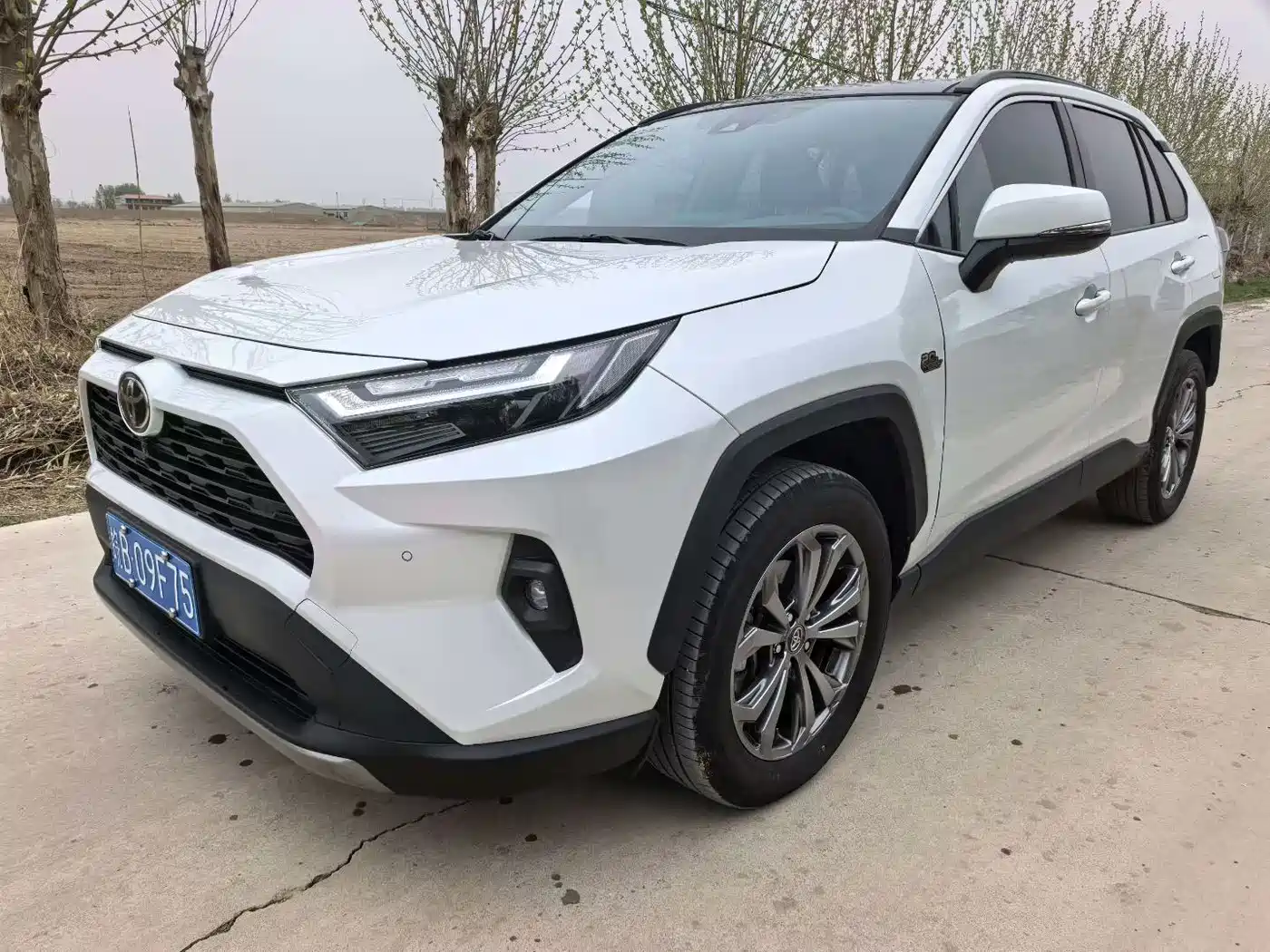 Toyota RAV4 Rongfang 2023 2.0L CVT 2WD 20th Anniversary Platinum Edition