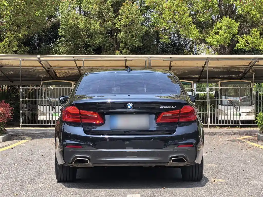 BMW 5 Series 2020 525Li M Sport Package фото 23