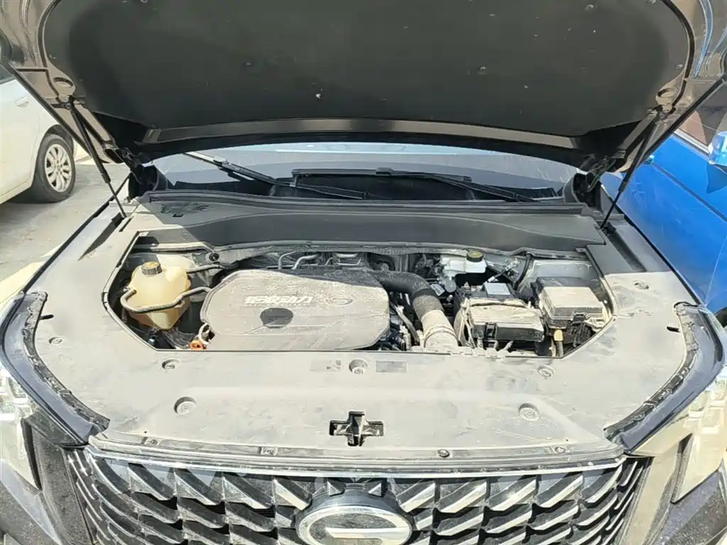 GAC Trumpchi Trumpchi GS8 2022 Pilot Series 2.0TGDI 2WD Luxury Smart Connect Edition (7-Seater) фото 20