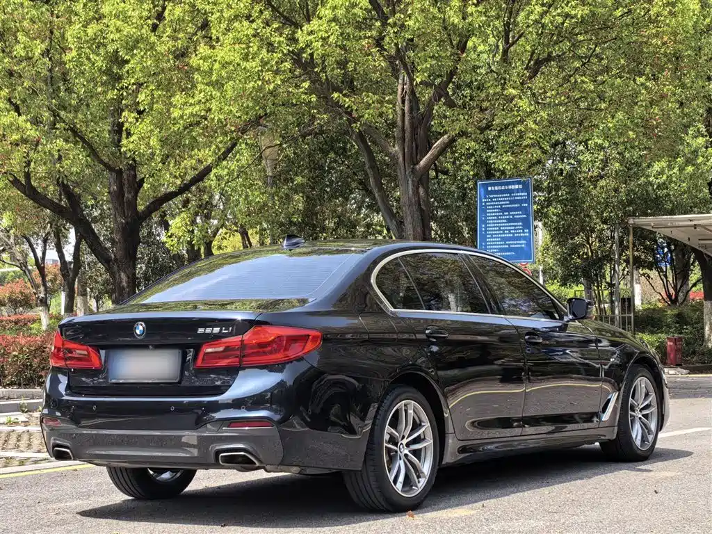 BMW 5 Series 2020 525Li M Sport Package фото 24