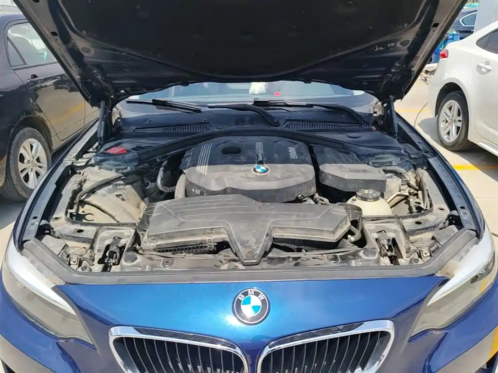 BMW 2 Series (Import) 2015 218i фото 20