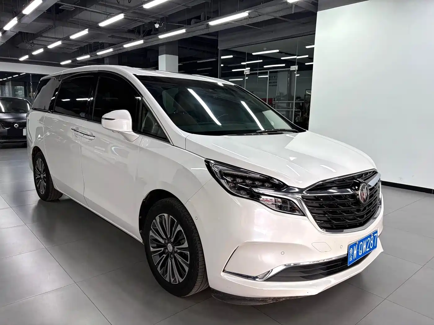 Buick GL8 2021 ES Landlord 653T Luxury фото 3
