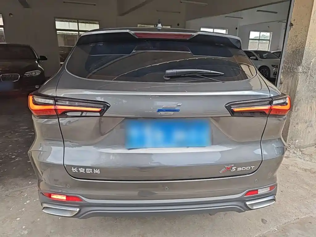 Фото 6 - Changan Oshan Changan Oushang X5