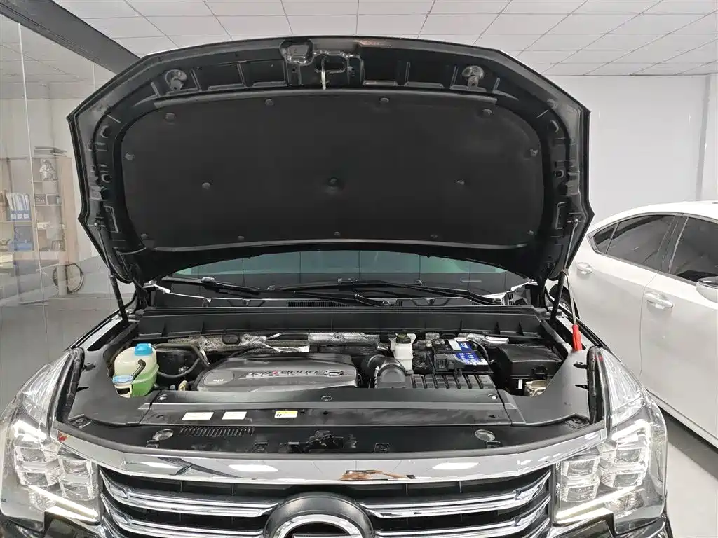 GAC Trumpchi Trumpchi GS8 2017 320T 2WD Luxury Smart Connect (7-seater) фото 20