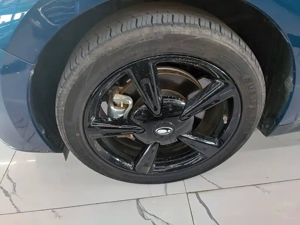 Ora Good Cat 2024 2024 401km Luxury