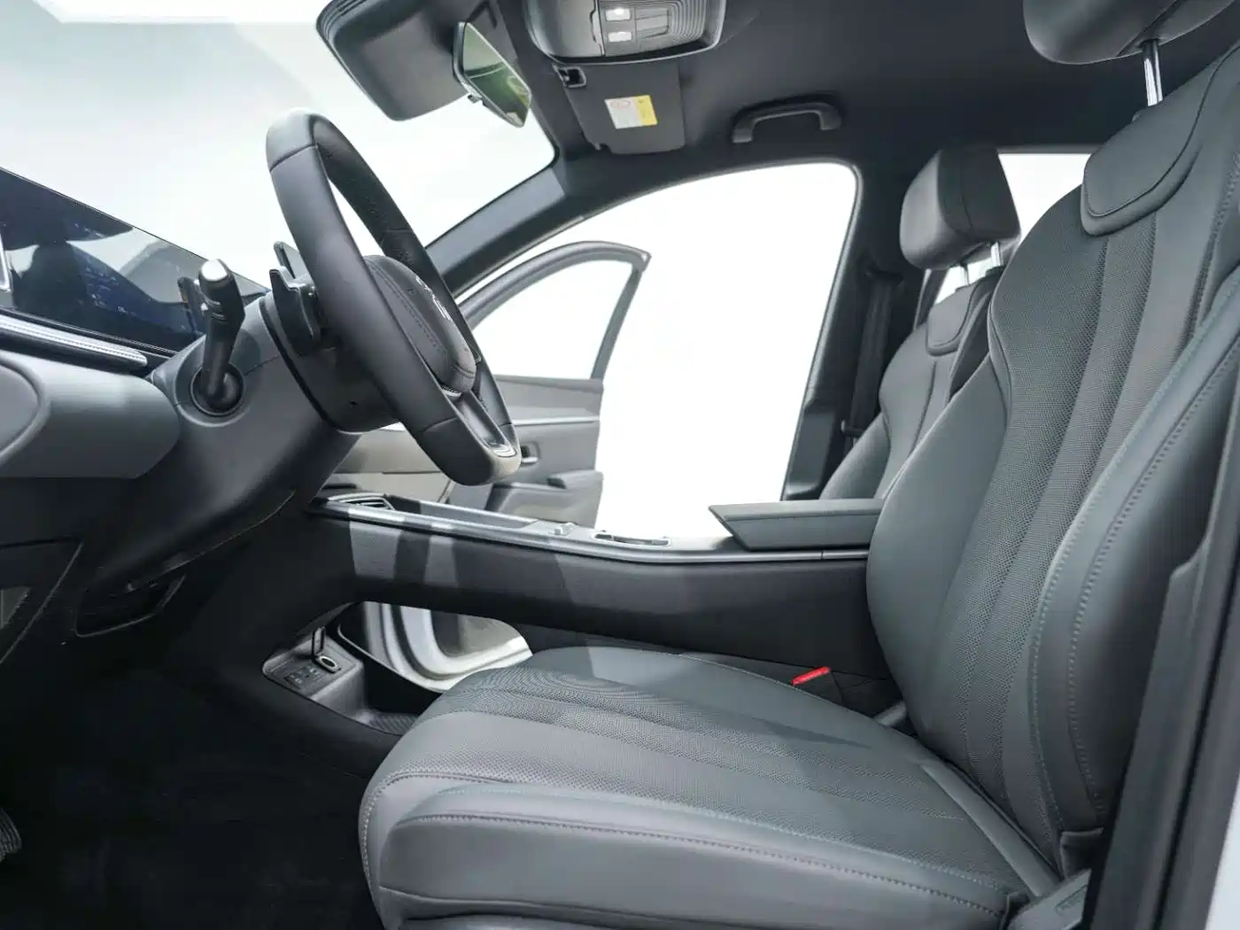 BYD Song Pro New Energy 2026 DM-i Smart Edition 133KM Superior фото 23